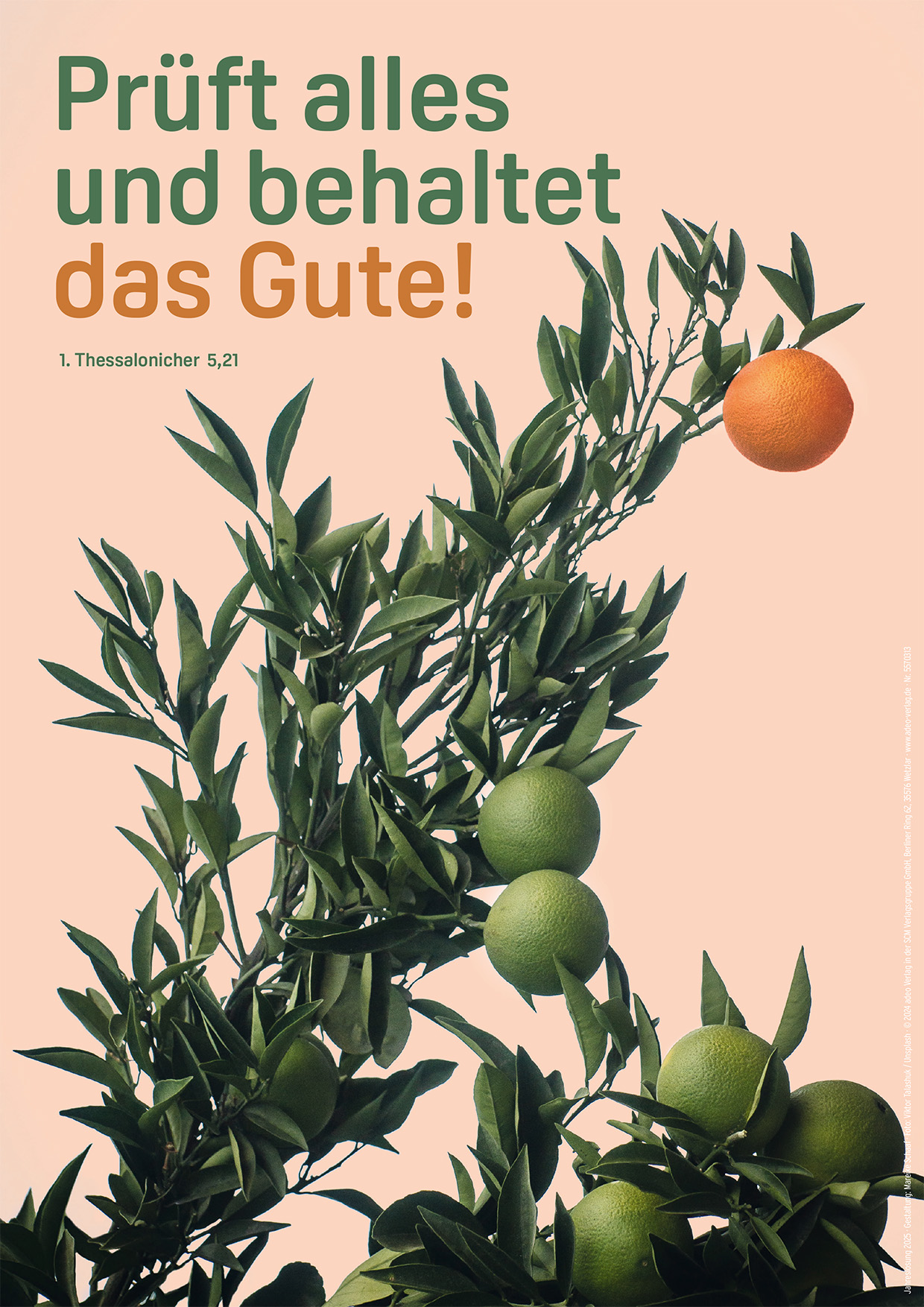 Jahreslosung 2025 Poster A4 (Schreibwaren)